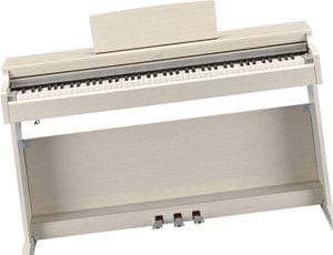 1558775442961-37.YDP163WA Y WITH BENCH.4.jpg